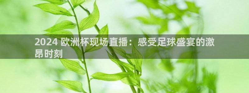 欧洲杯竞猜网站：2024 欧洲杯现场直播：感受足球盛宴的激
昂时刻