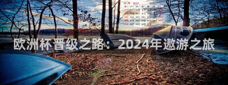 欧洲杯靠谱买球平台|欧洲杯晋级之路：2024年遨游之旅